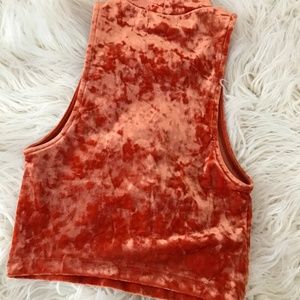 Urban Outfitters Velvet Cropped Mockneck Top